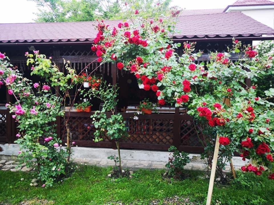 Hotel Pensiunea Cassandra Târgu Neamţ Exterior foto