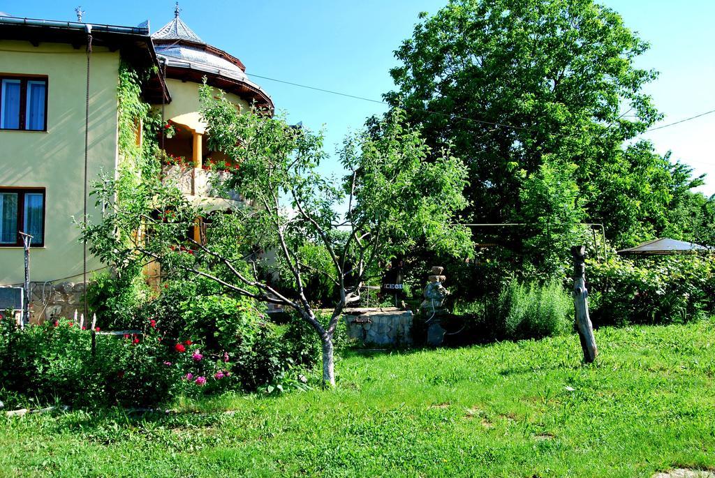 Hotel Pensiunea Cassandra Târgu Neamţ Exterior foto