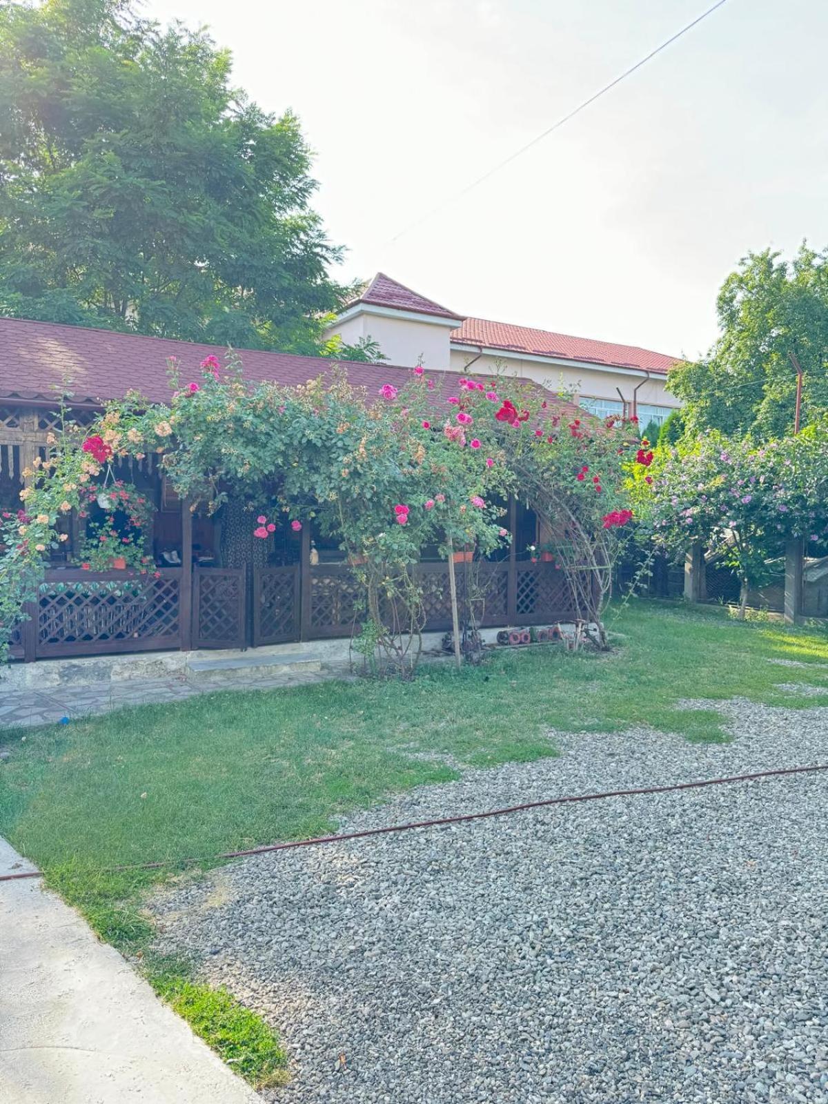 Pensiunea Cassandra Târgu Neamţ Exterior foto