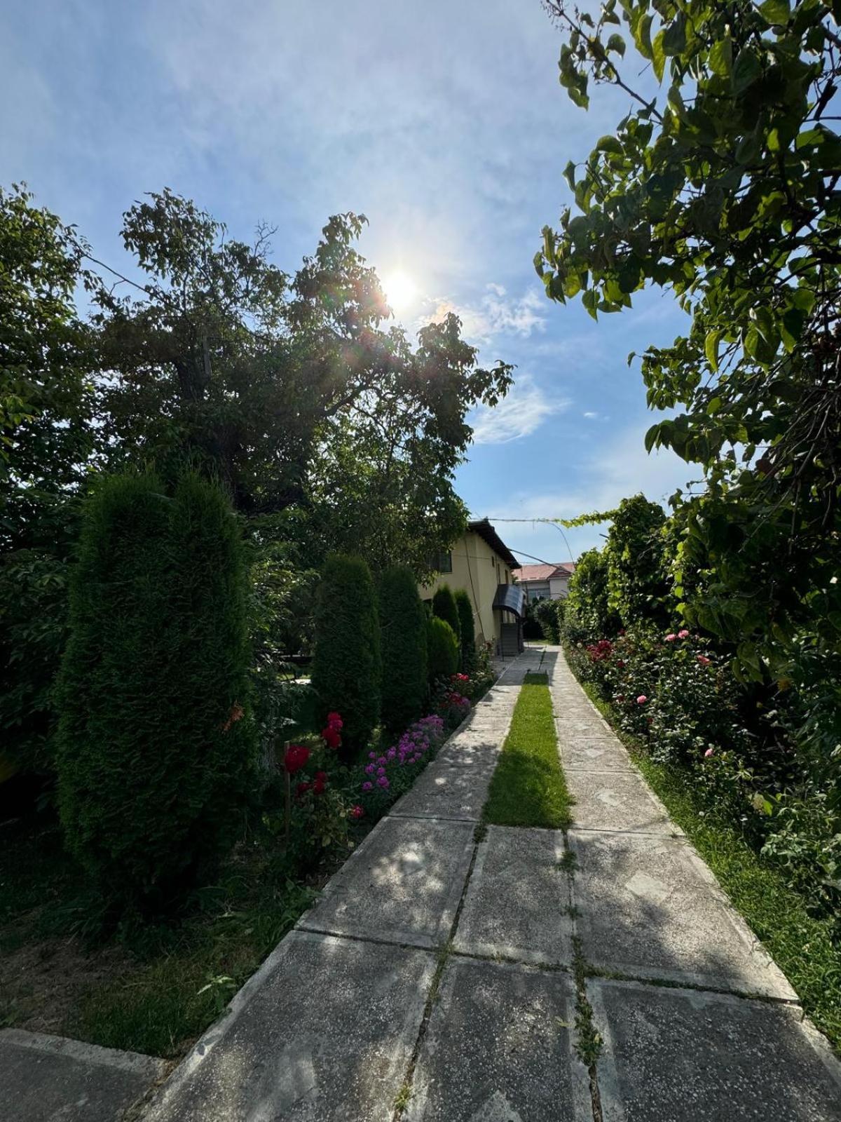 Hotel Pensiunea Cassandra Târgu Neamţ Exterior foto